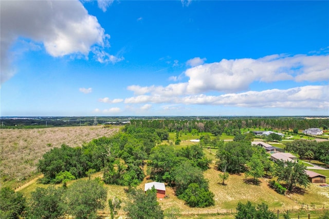 10133 Colt Ln, Winter Garden, FL 34787 - photo 16