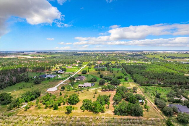 10133 Colt Ln, Winter Garden, FL 34787 - photo 23