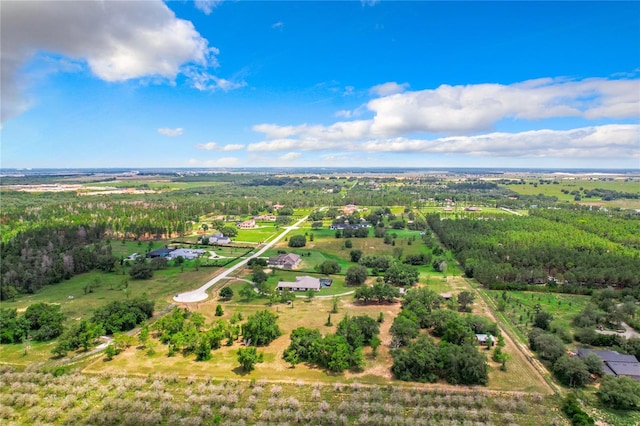 10133 Colt Ln, Winter Garden, FL 34787 - photo 24