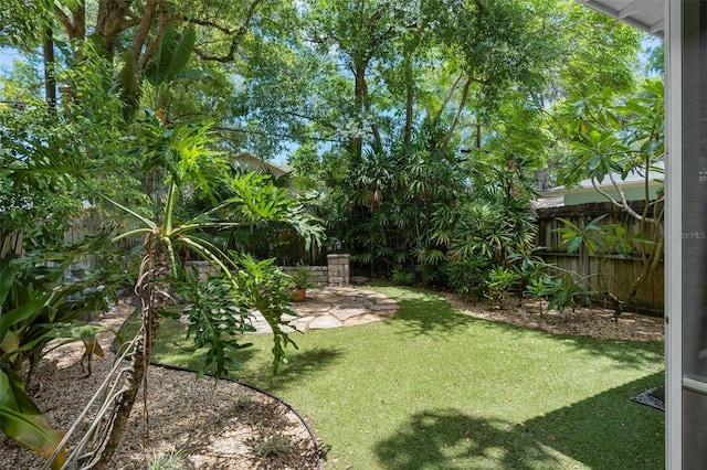 view of yard with a patio