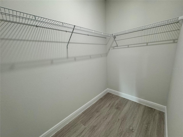 spacious closet featuring hardwood / wood-style floors