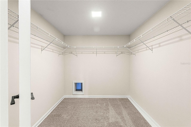 spacious closet with carpet flooring