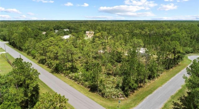 Cartwright Ct, Orlando FL, 32833 land for sale