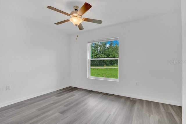 empty room with ceiling fan and wood-type flooring