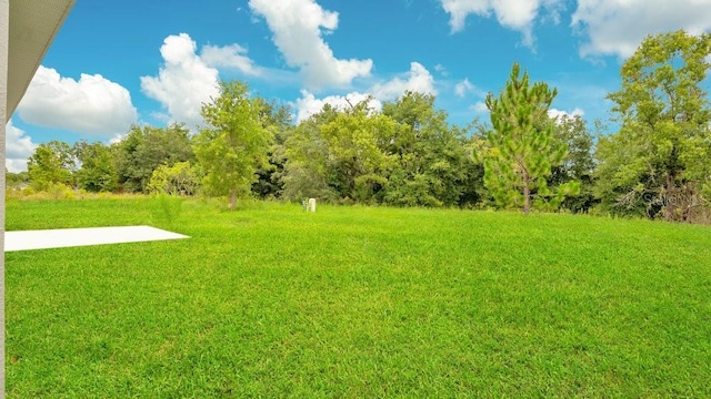 297 Malauka Run, Ocklawaha, FL 32179 - view of yard
