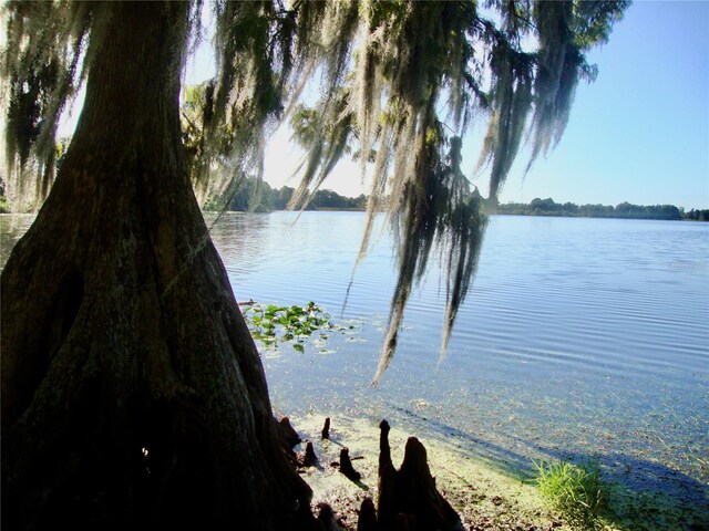 view of water feature