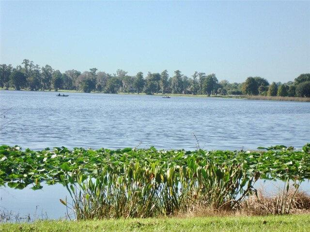 view of water feature