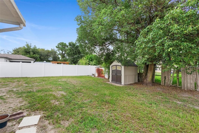 view of yard with a storage unit