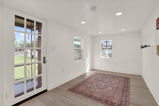 doorway with wood-type flooring and a healthy amount of sunlight