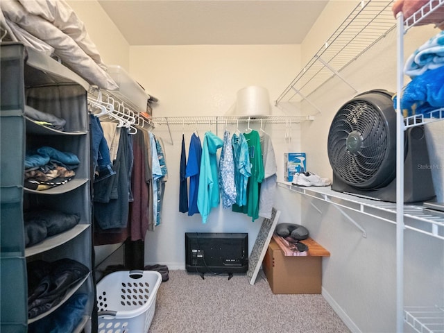 spacious closet featuring carpet