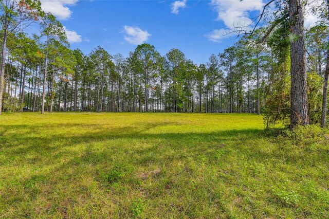 35408 Pinegate Trl, Eustis FL, 32736 land for sale