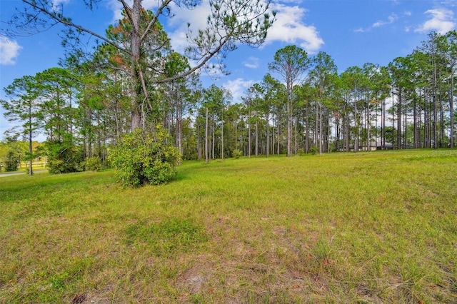 Listing photo 3 for 35408 Pinegate Trl, Eustis FL 32736