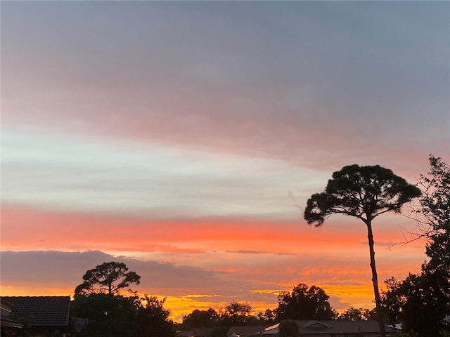 view of nature at dusk