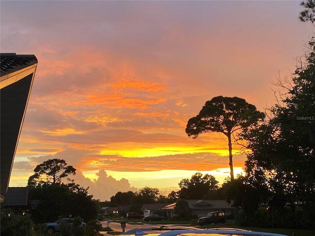 view of nature at dusk