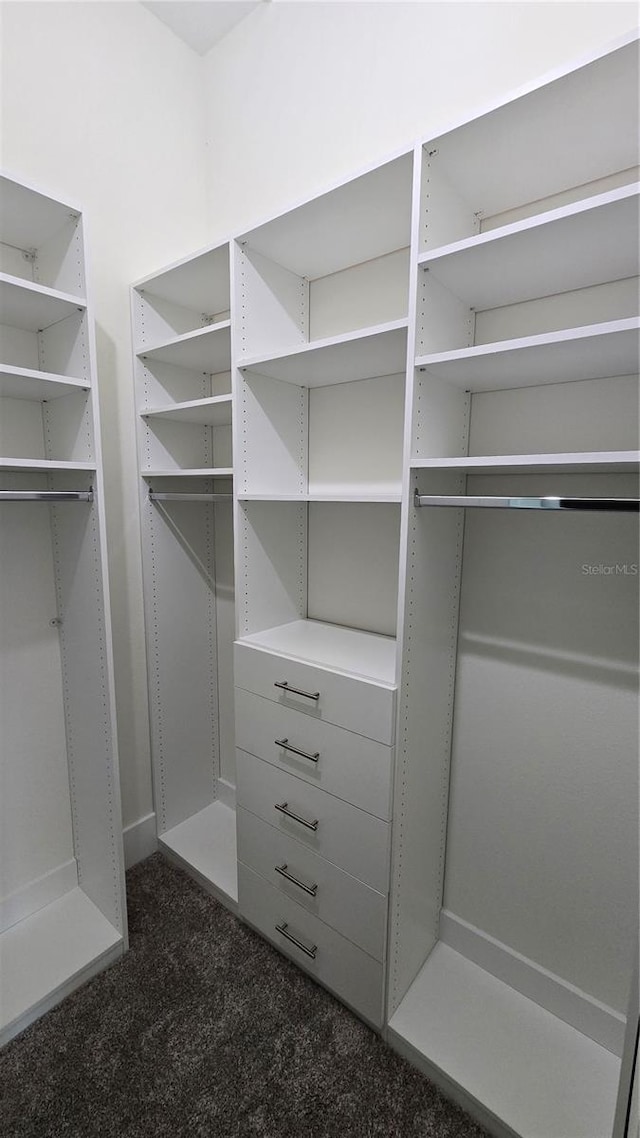 walk in closet featuring dark colored carpet