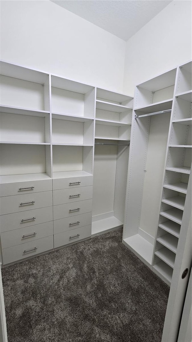 walk in closet featuring dark colored carpet