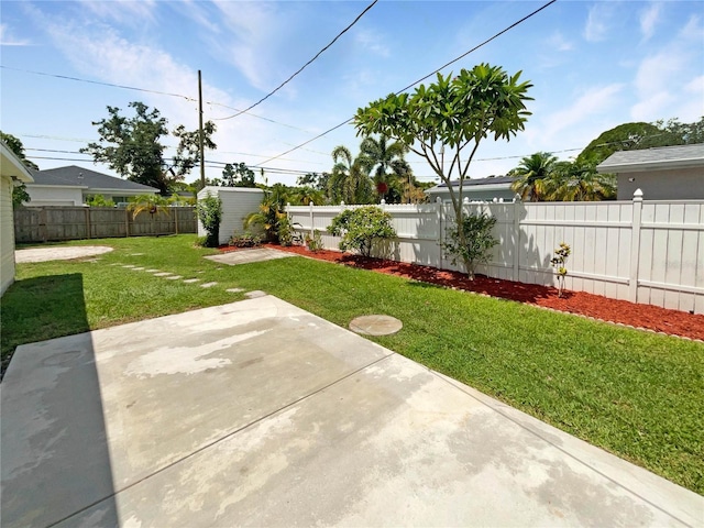 view of yard featuring a patio area