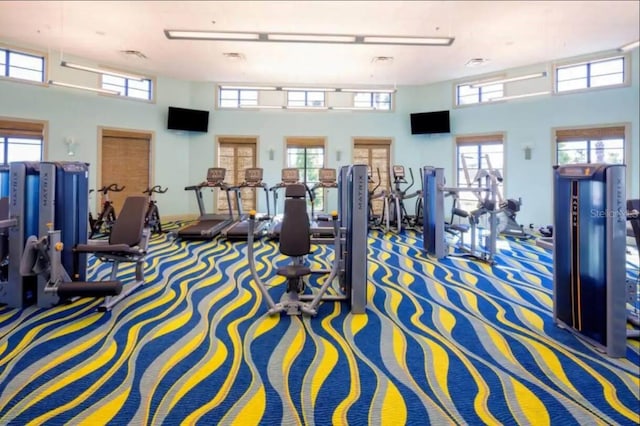 exercise room featuring a high ceiling and carpet floors