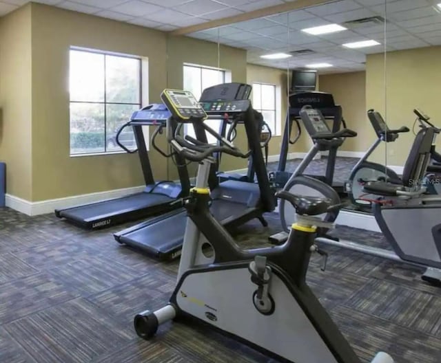 exercise room featuring dark colored carpet and a drop ceiling