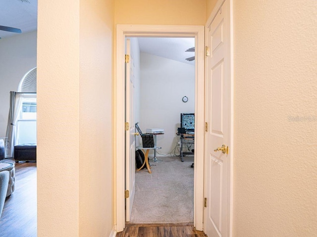 hall with hardwood / wood-style flooring