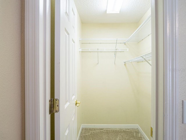 spacious closet with carpet flooring