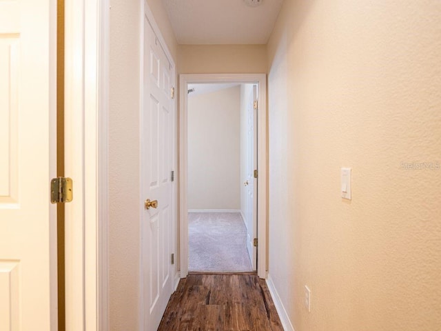 corridor featuring dark hardwood / wood-style flooring