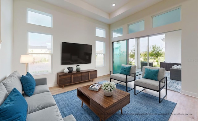 living room featuring a towering ceiling and light hardwood / wood-style flooring