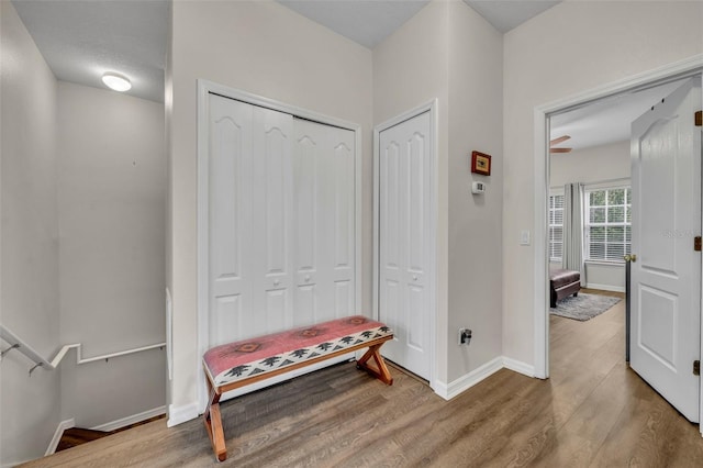 hall featuring light hardwood / wood-style floors