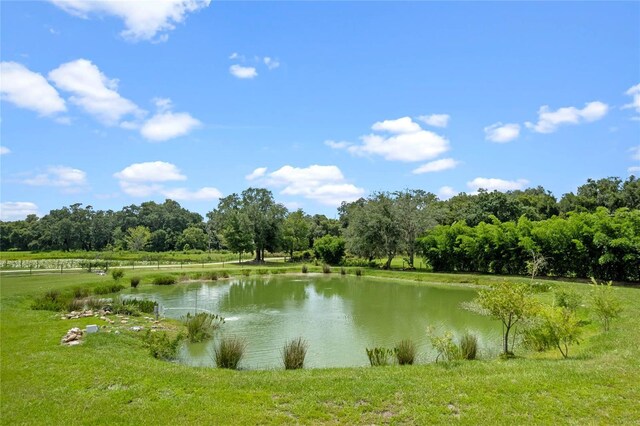 water view