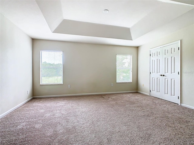 interior space with carpet, a healthy amount of sunlight, and a tray ceiling