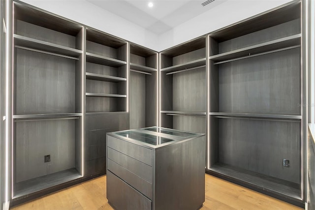 spacious closet featuring light hardwood / wood-style flooring