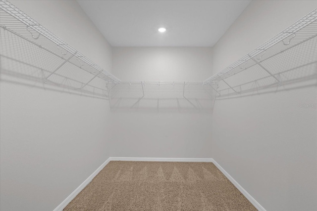 walk in closet with carpet flooring