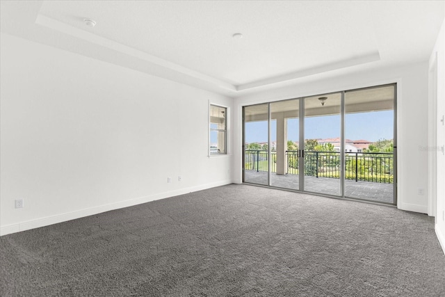 spare room featuring carpet floors and a tray ceiling