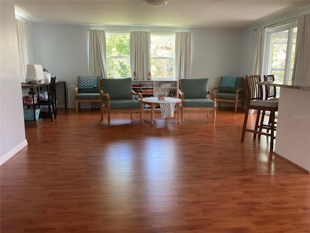 living area featuring a wealth of natural light and dark wood-type flooring