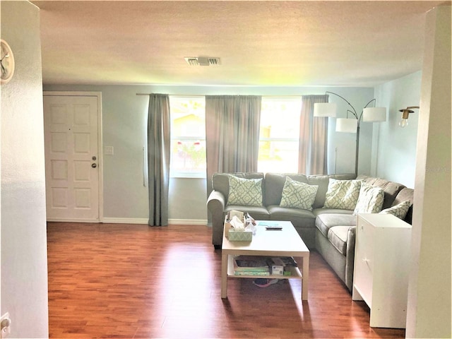 living room with wood-type flooring