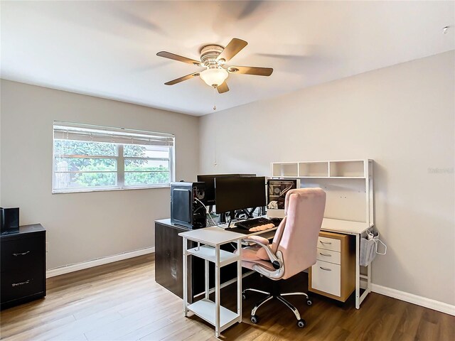 home office featuring ceiling fan and light wood-type flooring