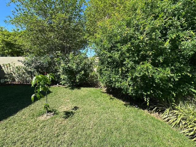 8734 Crestgate Cir, Orlando, FL 32819 - view of yard