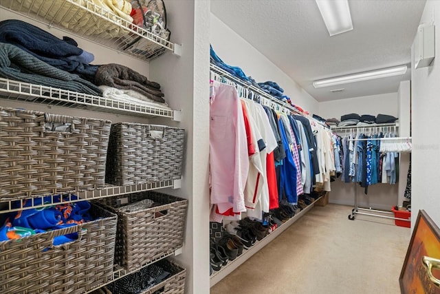 spacious closet with carpet flooring