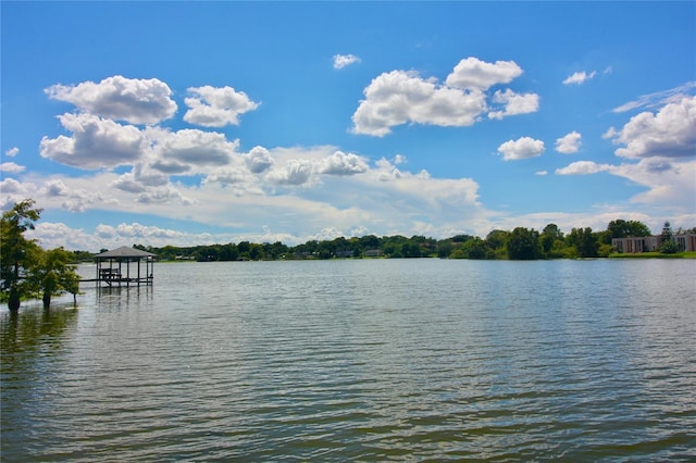 property view of water with a dock