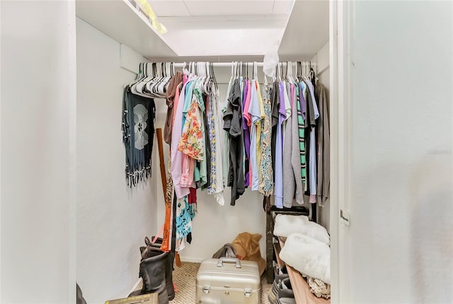 walk in closet with carpet flooring