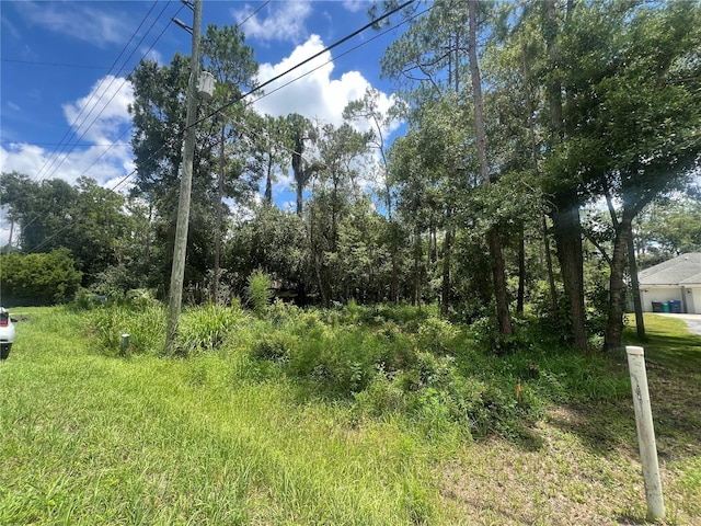 6760 Quail Hollow Blvd, Wesley Chapel, FL 33544 - photo 1