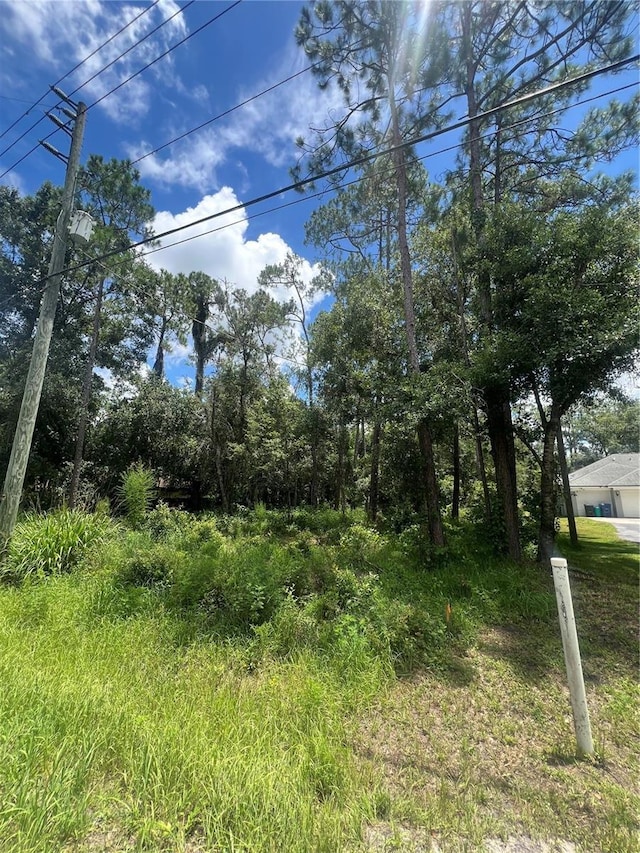 6760 Quail Hollow Blvd, Wesley Chapel, FL 33544 - photo 2