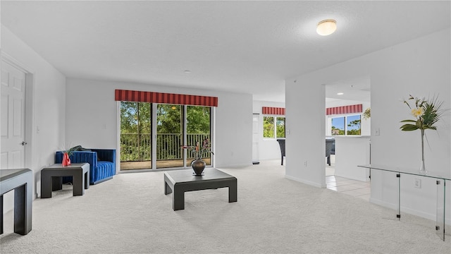 interior space featuring a textured ceiling and light colored carpet