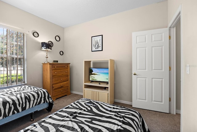 bedroom featuring carpet flooring