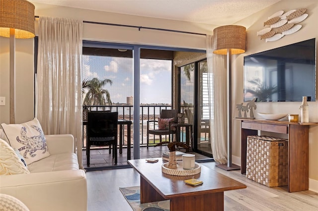 living room featuring hardwood / wood-style floors and a textured ceiling