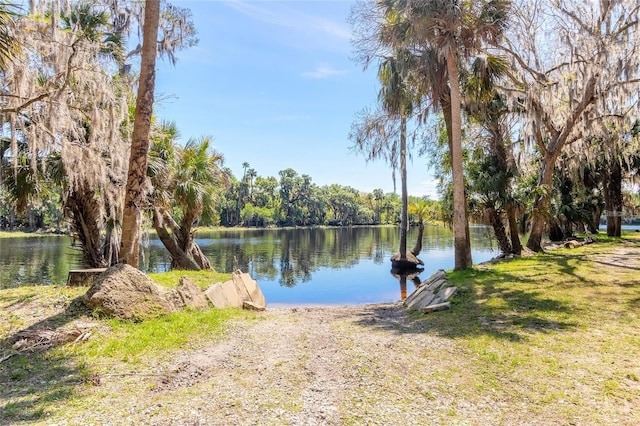 Dog Leg Trl, Osteen, FL 32764 - photo 19