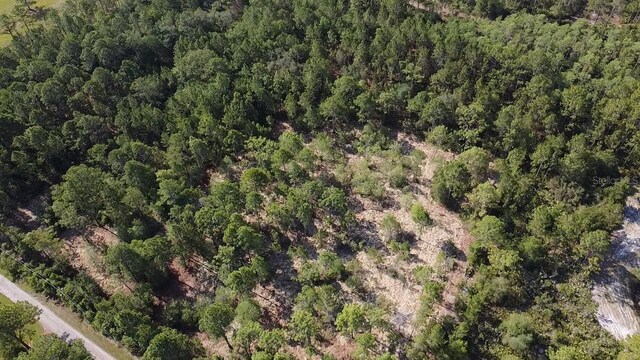 Dog Leg Trl, Osteen, FL 32764 - photo 5