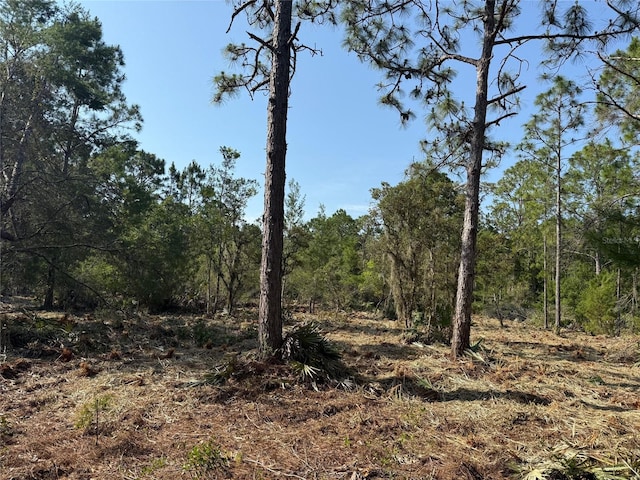 Dog Leg Trl, Osteen, FL 32764 - photo 2