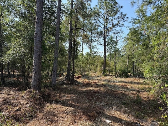 Dog Leg Trl, Osteen, FL 32764 - photo 3