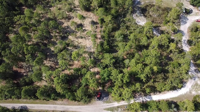 Dog Leg Trl, Osteen, FL 32764 - photo 4